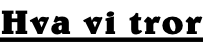 Hva vi tror