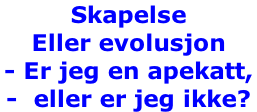 Skapelse  Eller evolusjon - Er jeg en apekatt,  -  eller er jeg ikke?