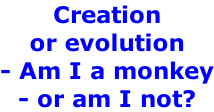 Creation  or evolution   - Am I a monkey - or am I not?
